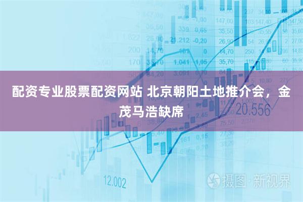 配资专业股票配资网站 北京朝阳土地推介会，金茂马浩缺席